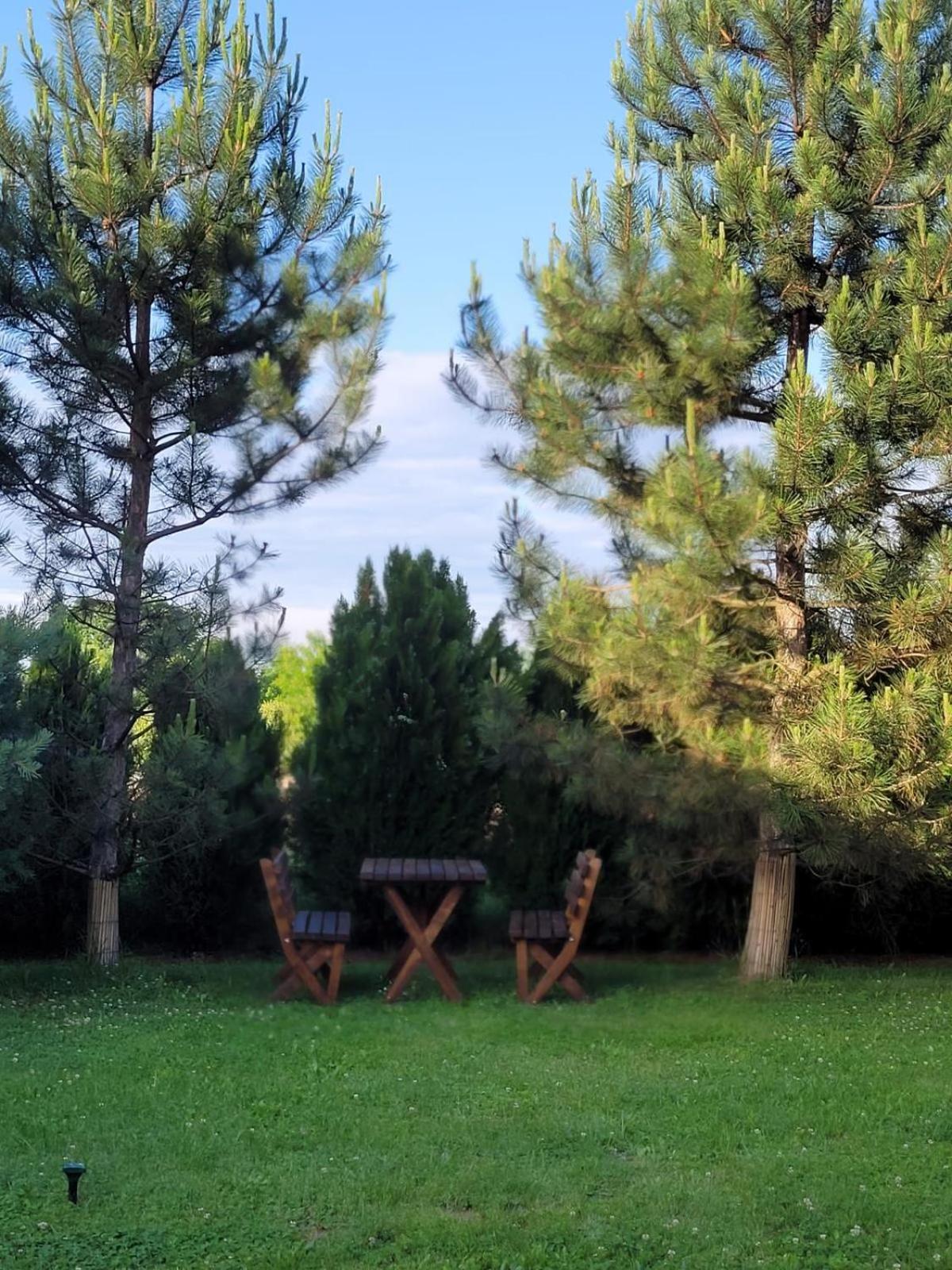 Hanul Lui Bogdan Economy Inn Făget Εξωτερικό φωτογραφία